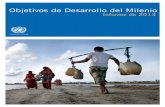 Objetivos de Desarrollo del Milenio: Informe de 2013