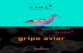 Gripe aviar-06-3-a 72