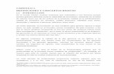 CAPITULO 1. DEFINICIONES Y CONCEPTOS BÁSICOS