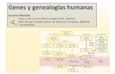 Genes y genealogias   susanna manrubia - curso introduccion a los sistemas complejos