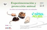 Animalario SGIker - Ciencias del animal de laboratorio, la ética y la investigación con animales