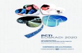 PCTI EUSKADI 2020. Una estrategia de especialización inteligente.