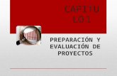 Preparacion y evaluacion de proyectos sapag