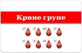 Krvne grupe