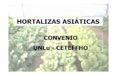 Presentacion hortalizas asiaticas