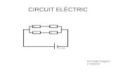 Circuit el¨ctric