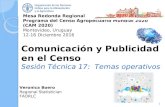 Comunicación y Publicidad en el Censo