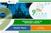 TCILatinAmerica16 Producción y usos de producción y usos de proteína vegetal