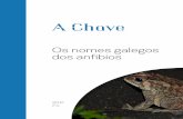 Os nomes galegos dos anfibios