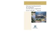 Guía para la interpretación de cartografía uso del suelo y vegetación ...