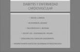 ENFERMEDAD CARDIOVASCULAR – Dr. Miguel Augusto Omeara ...
