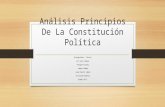 Analisis principios  de la constitucion politica