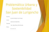 Problemática Urbana y Sostenibilidad - San Juan de Lurigancho