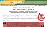 Brasil registra queda de 62% nos casos de dengue.