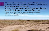 reservorios no convencionales del tipo shale de