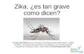 Zika, ¿es tan grave como dicen?