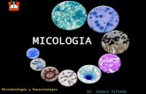 Micologia Clinica
