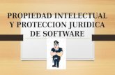Propiedad intelectual y proteccion juridica de software