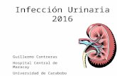 infeccion urinaria en Pediatria