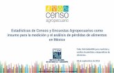 Estadísticas de Censos y Encuestas Agropecuarios como insumo para la medición y el análisis de pérdidas de alimentos en México