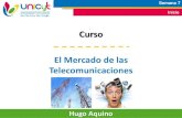 UNICyT - Mercado de las Telecomunicaciones - Clase 7