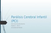Parálisis cerebral infantil (pci)