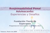Programas en medio libre, Fundación Tierra de Esperanza, Temuco, enero 2009