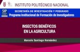 Insectos Beneficos en la Agricultura.