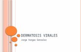 Dermatosis virales (herpes)