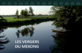 2016 LES VERGERS DU MEKONG Presentation HORECA