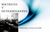 Temas  de matrices y  determinantes  m1 ccesa007