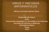 Virus y vacunas imformaticos