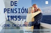 Cálculo de pensión IMSS.