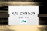 Plan exportadorde Piñas desde Colombia