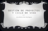 Gestión de proyectos y ciclo de vida (diapositivas)