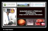 SANGRADO UTERINO ANORMAL- DR. JORGE HUATUCO