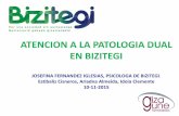 2015_Atención a la patología dual en Bizitegi