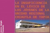 La insuficiencia en el léxico de los jóvenes de la Unidad Regional Chiautla de Tapia
