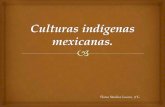 Culturas indígenas mexicanas español