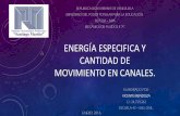 Energía especifica y cantidad de movimiento en canales. Por vicente Mendoza.