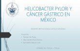 Helicobacter pylori y cáncer gástrico en méxico