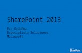 SharePoint 2013 general
