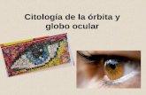 Citología de la órbita y globo ocular