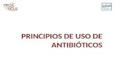 Principios de Uso de Antibióticos