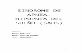 (2015-11-24)  - Síndrome de Apnea-Hipopnea del Sueño (DOC)
