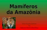 Mamíferos da Amazônia