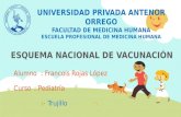 Esquema nacional de vacunación peruana