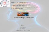 Psicofiosilogia y neurona