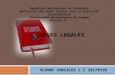 Presentación bases legales de la constitución