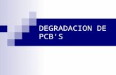 Degradación de PBC con microorganismos